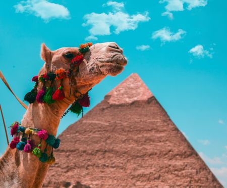 Cairo, Luxor & Aswan Christmas Tour