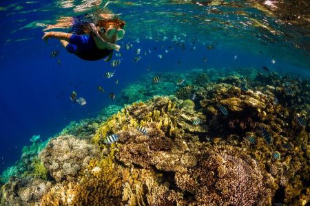 Hurghada Red Sea Crystal Clear Waters Coral Reef Snorkeling