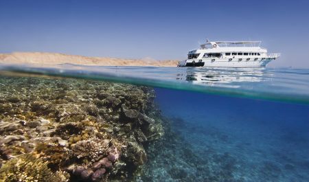 Hurghada Red Sea Snorkeling Coral Reef Egypt