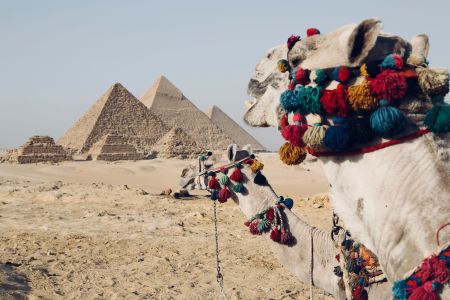 Egypt in 14 Days